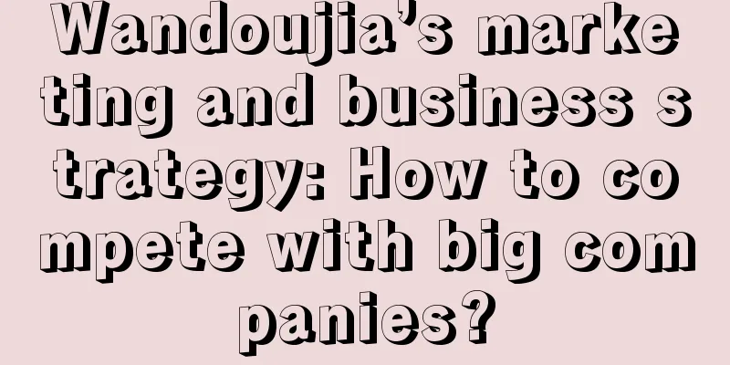 Wandoujia’s marketing and business strategy: How to compete with big companies?