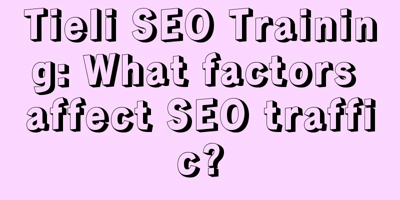 Tieli SEO Training: What factors affect SEO traffic?