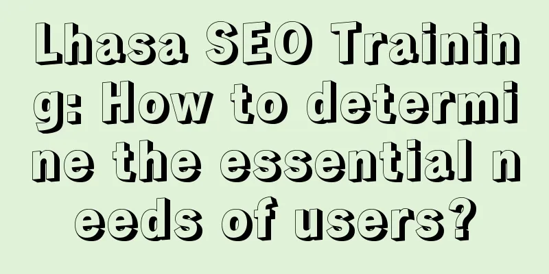 Lhasa SEO Training: How to determine the essential needs of users?