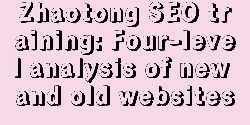 Zhaotong SEO training: Four-level analysis of new and old websites