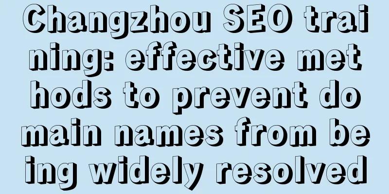 Changzhou SEO training: effective methods to prevent domain names from being widely resolved