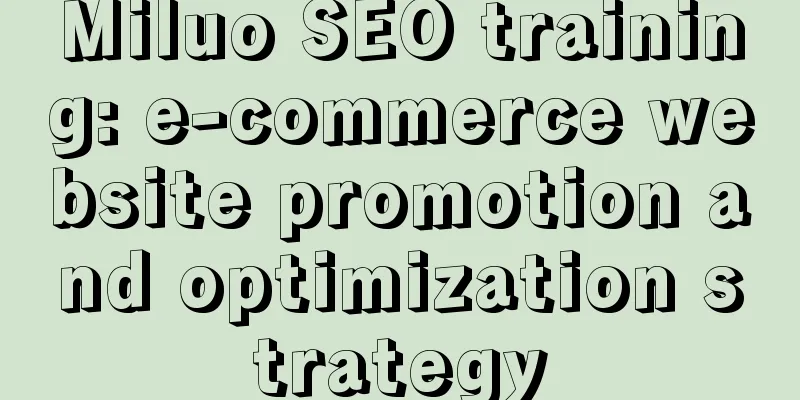 Miluo SEO training: e-commerce website promotion and optimization strategy