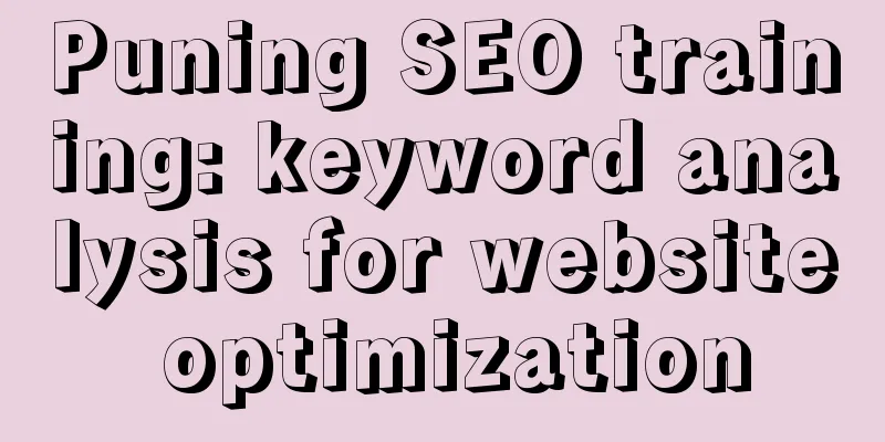 Puning SEO training: keyword analysis for website optimization