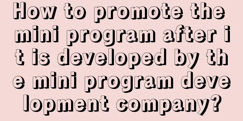 How to promote the mini program after it is developed by the mini program development company?