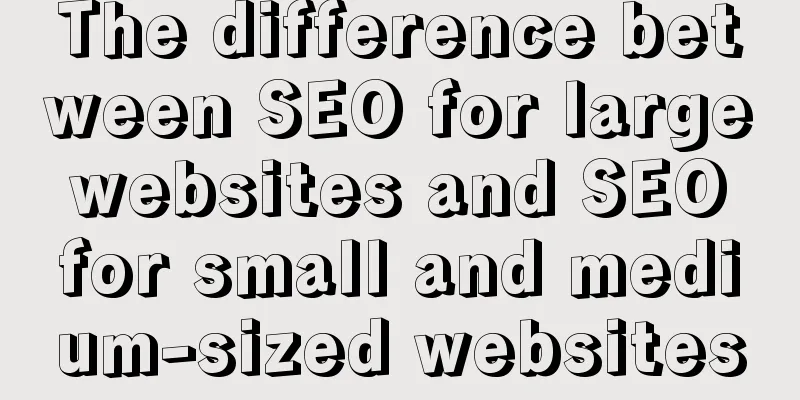 The difference between SEO for large websites and SEO for small and medium-sized websites