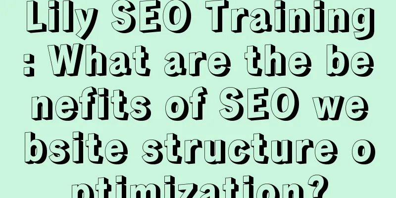 Lily SEO Training: What are the benefits of SEO website structure optimization?