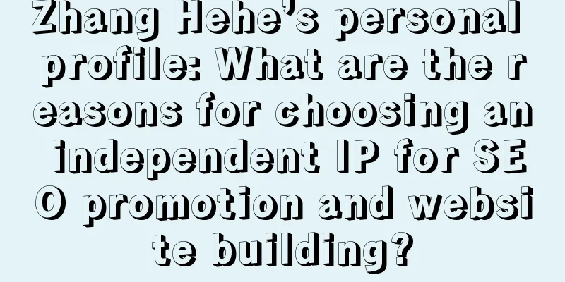 Zhang Hehe’s personal profile: What are the reasons for choosing an independent IP for SEO promotion and website building?