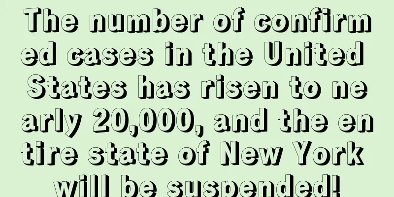 The number of confirmed cases in the United States has risen to nearly 20,000, and the entire state of New York will be suspended!