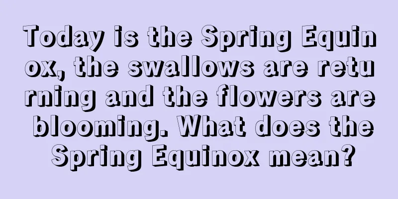 Today is the Spring Equinox, the swallows are returning and the flowers are blooming. What does the Spring Equinox mean?