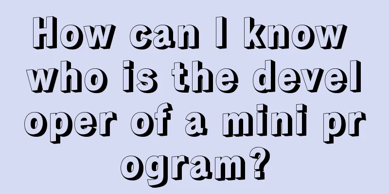 How can I know who is the developer of a mini program?