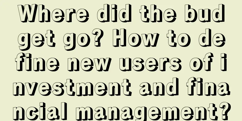 Where did the budget go? How to define new users of investment and financial management?