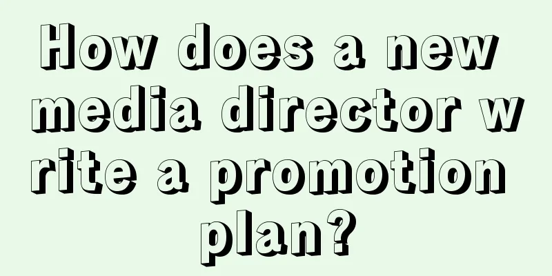 How does a new media director write a promotion plan?