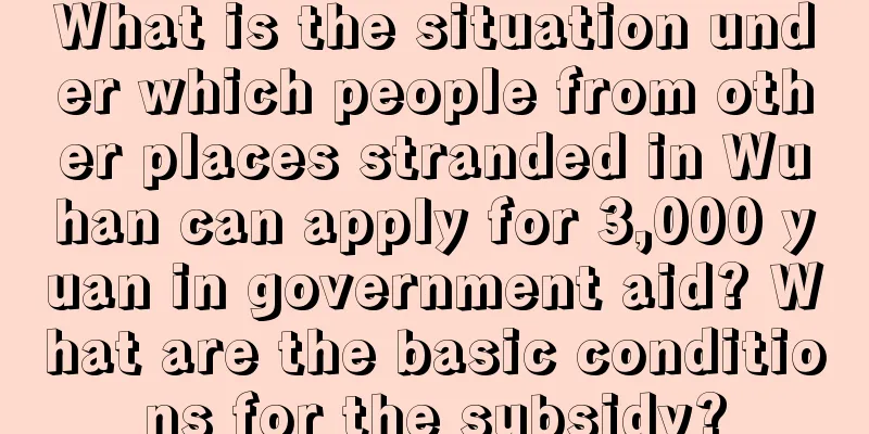 What is the situation under which people from other places stranded in Wuhan can apply for 3,000 yuan in government aid? What are the basic conditions for the subsidy?