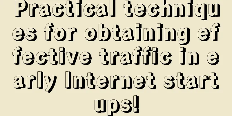 Practical techniques for obtaining effective traffic in early Internet startups!