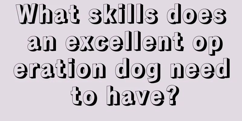 What skills does an excellent operation dog need to have?