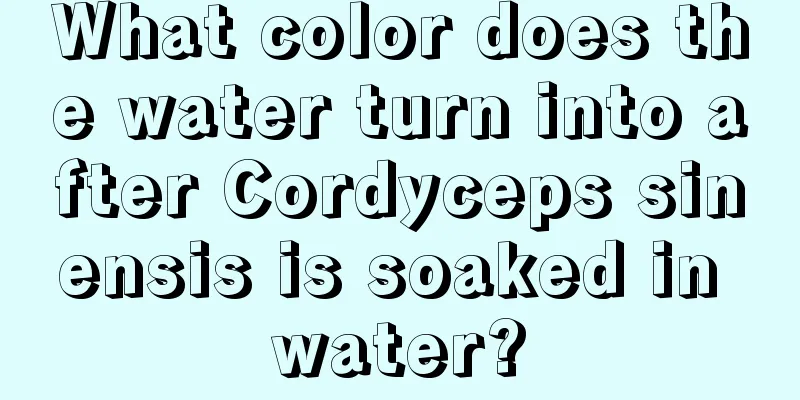 What color does the water turn into after Cordyceps sinensis is soaked in water?