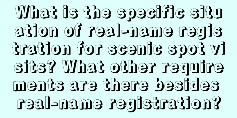 What is the specific situation of real-name registration for scenic spot visits? What other requirements are there besides real-name registration?