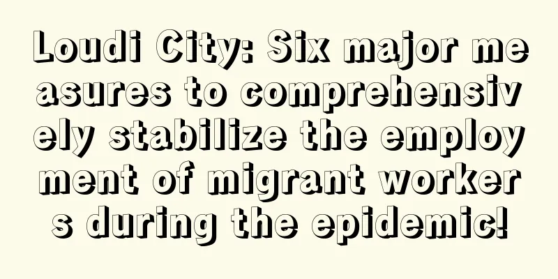 Loudi City: Six major measures to comprehensively stabilize the employment of migrant workers during the epidemic!