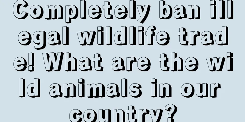 Completely ban illegal wildlife trade! What are the wild animals in our country?