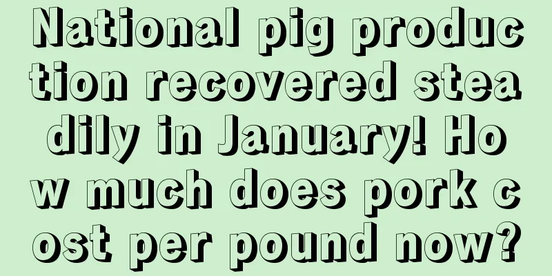 National pig production recovered steadily in January! How much does pork cost per pound now?