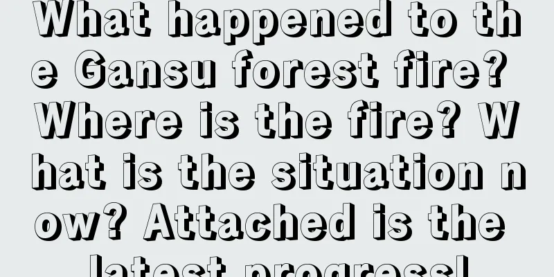 What happened to the Gansu forest fire? Where is the fire? What is the situation now? Attached is the latest progress!