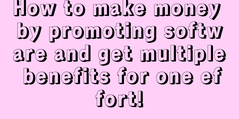 How to make money by promoting software and get multiple benefits for one effort!