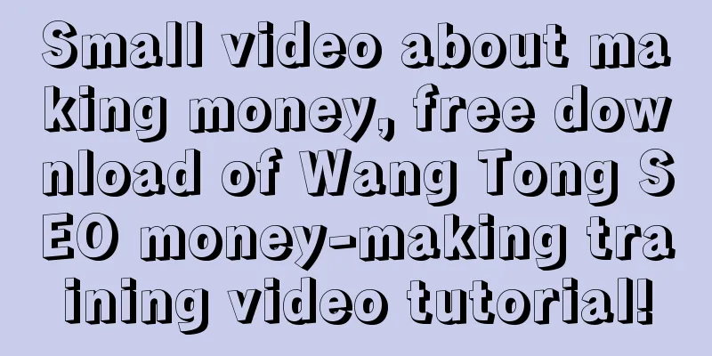 Small video about making money, free download of Wang Tong SEO money-making training video tutorial!