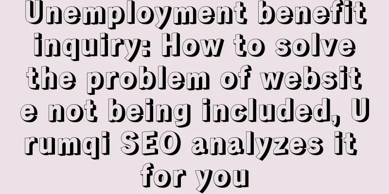 Unemployment benefit inquiry: How to solve the problem of website not being included, Urumqi SEO analyzes it for you