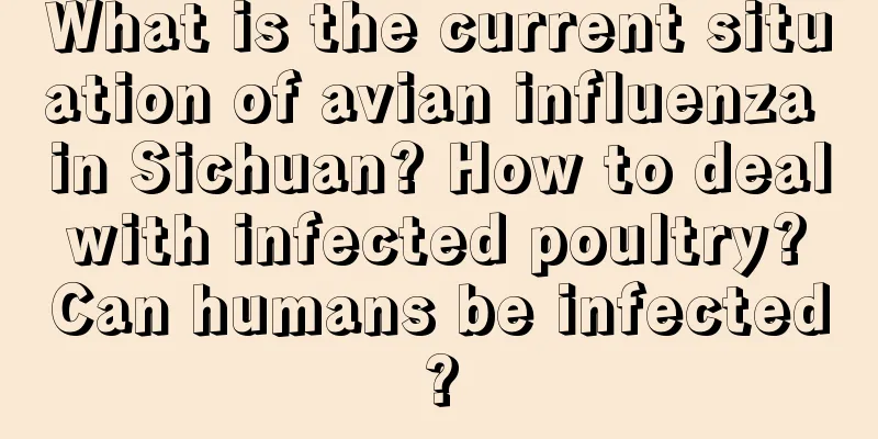 What is the current situation of avian influenza in Sichuan? How to deal with infected poultry? Can humans be infected?