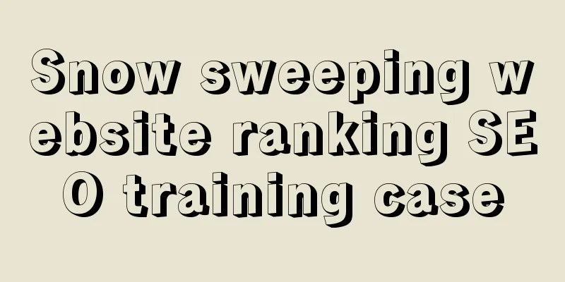 Snow sweeping website ranking SEO training case