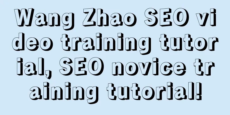 Wang Zhao SEO video training tutorial, SEO novice training tutorial!