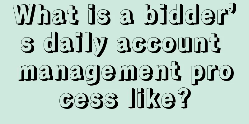 What is a bidder’s daily account management process like?