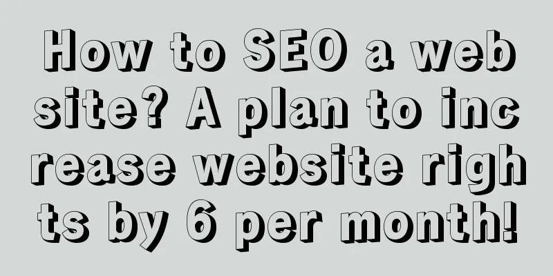 How to SEO a website? A plan to increase website rights by 6 per month!