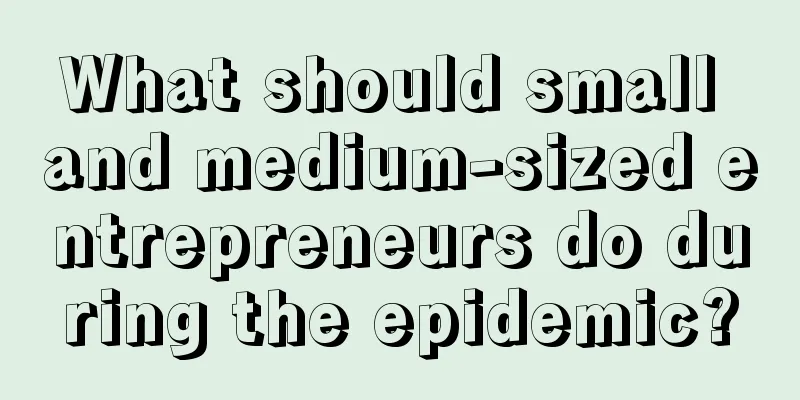 What should small and medium-sized entrepreneurs do during the epidemic?