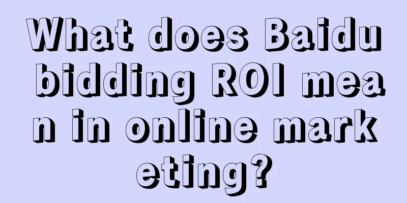 What does Baidu bidding ROI mean in online marketing?