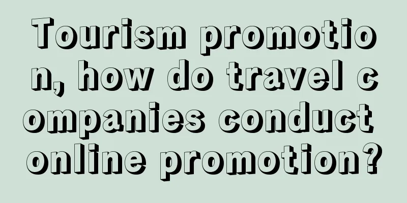 Tourism promotion, how do travel companies conduct online promotion?