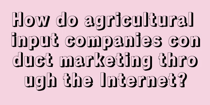 How do agricultural input companies conduct marketing through the Internet?