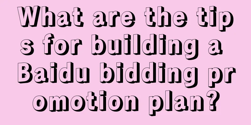 What are the tips for building a Baidu bidding promotion plan?