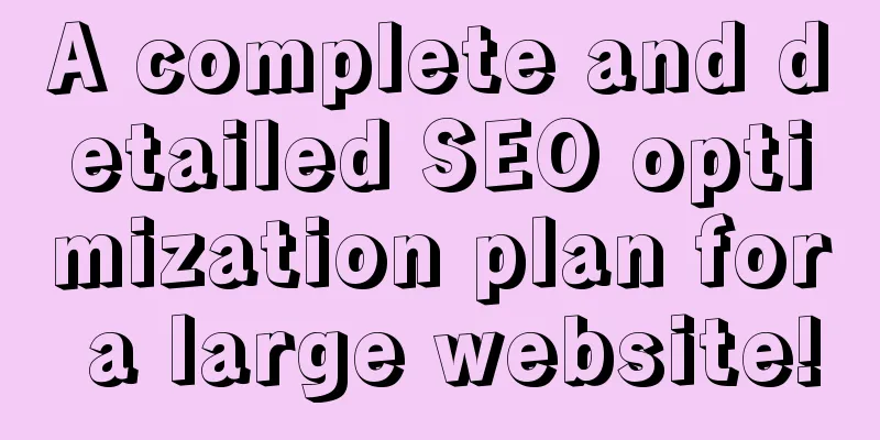 A complete and detailed SEO optimization plan for a large website!