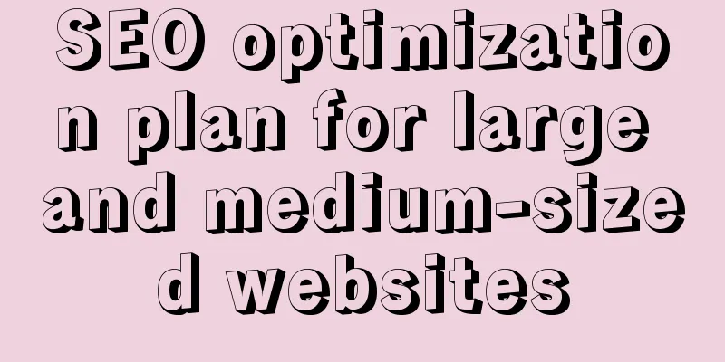 SEO optimization plan for large and medium-sized websites