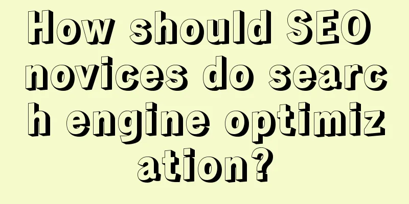 How should SEO novices do search engine optimization?