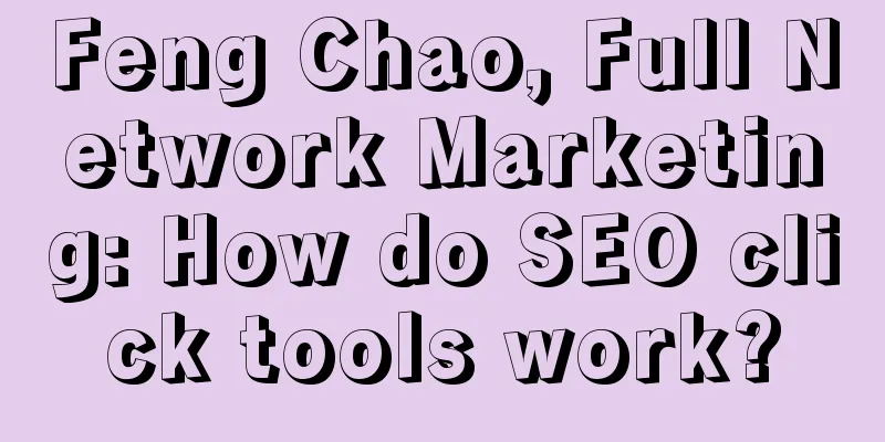 Feng Chao, Full Network Marketing: How do SEO click tools work?