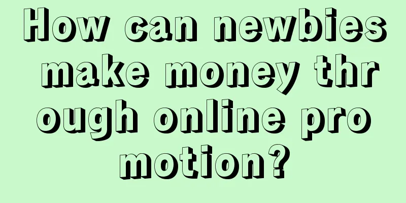 How can newbies make money through online promotion?