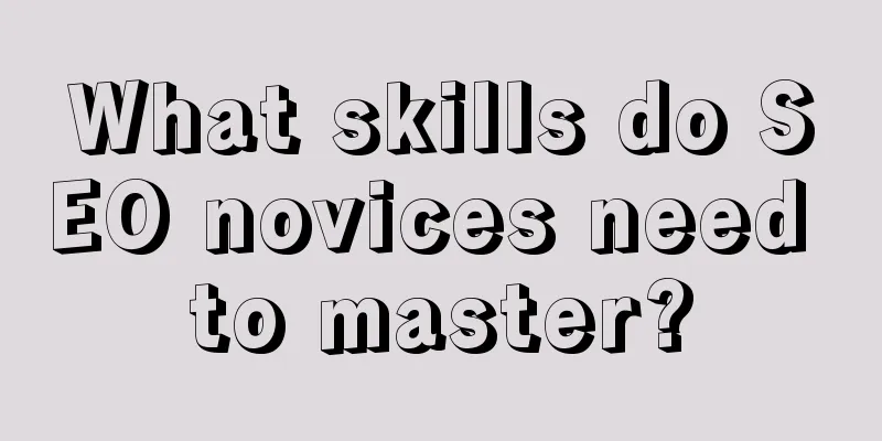 What skills do SEO novices need to master?