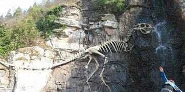 Regulations on the Protection of Paleontological Fossils