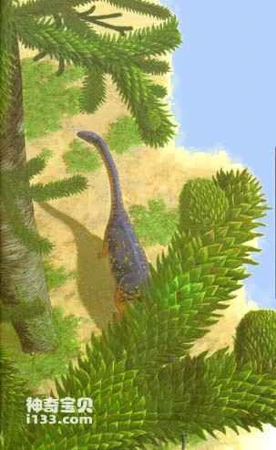 Physical characteristics and living habits of the long-spinosaurus