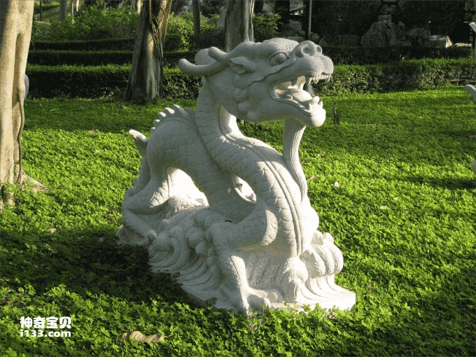 Detailed introduction and living habits of dragons