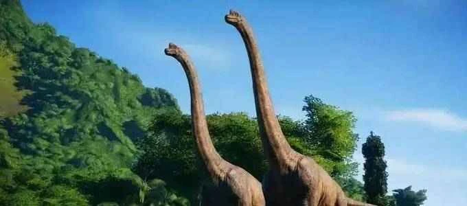 How do dinosaurs become fossils? The mystery of the dinosaurs in Lufeng, China.