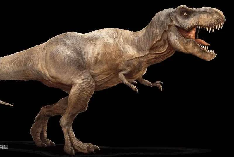 A list of seven deadliest dinosaurs - each a terrifying killer of enormous size.