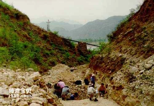 The discovery of the fossil of Dawn ape